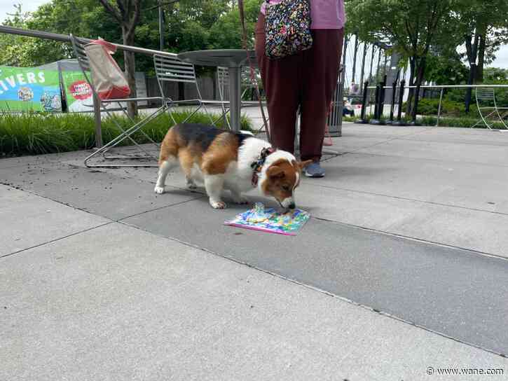 Paw-some works of art at Promenade Park