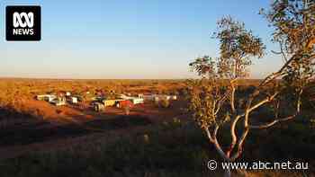 'National interest' behind treasurer's orders to block Yuxiao Fund from Australian rare earth investments