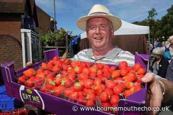 Annual Highcliffe Food and Arts Festival returns for 2024