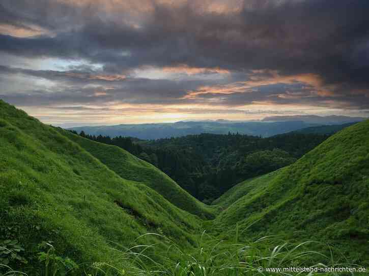 Wirtschaftliche Nachhaltigkeit in der Mode: Balance zwischen Profit und Verantwortung