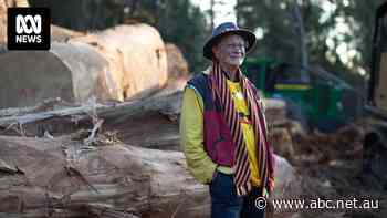 Arrest warrant issued for Tasmanian Aboriginal elder but 81yo says he doesn't recognise 'colonial' courts