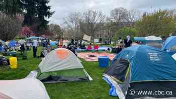 Local support for Palestinians heartening for Burlington, Ont., siblings with family in Gaza
