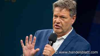 Geldpolitik: Habeck rechnet mit mehreren Leitzinssenkungen der EZB