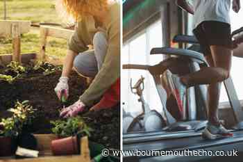 Dan Buettner: Gardening could lead you to have a longer life