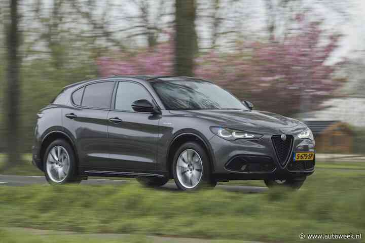 Alfa Romeo denkt aan SUV boven de Stelvio