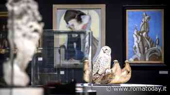 "Gli animali fantastici del Cosmo e dove trovarli" al Museo Civico di Zoologia