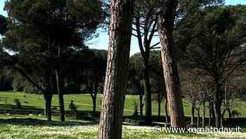 Global Wellness Day 2024 al Six Senses Rome