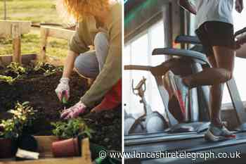 Dan Buettner: Gardening could lead you to have a longer life