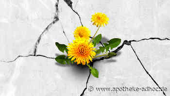 Der wichtigste Schritt ist der erste: Helfen wollen