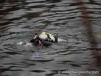 Search continues for occupant of vehicle that plunged into Rivière des Prairies