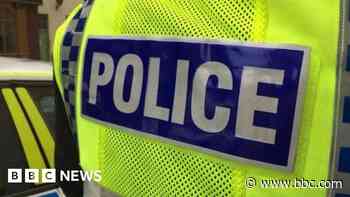 Woman, 22, dies after being hit by car