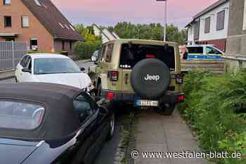 Junger Fahrer rast in geparkte Autos