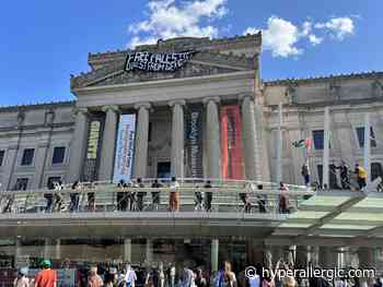 Brooklyn Museum Sees A Massive Demonstrating Asking It To Divest