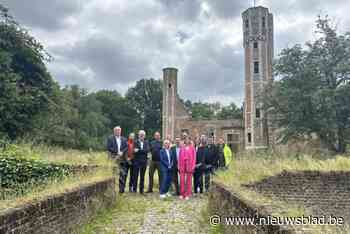 Restauratiewerken kasteelruïne Ter Elst binnenkort van start: “Historisch erfgoed wordt belevingshotspot”