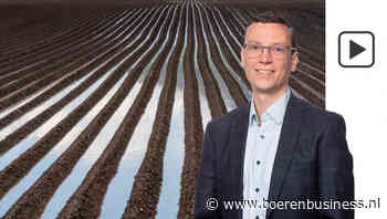 Nu de schade opmaken in aardappelland