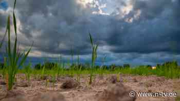 Klimaphänomene im Wechsel: La Niña könnte vielerorts für Abkühlung sorgen