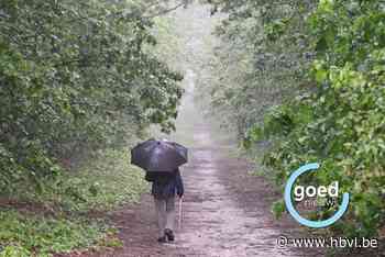 Regen houdt wandelaars niet tegen op 53’Promotocht