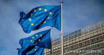 Europawahl 2024: Fünf Dinge, die in diesem Jahr besonders sind