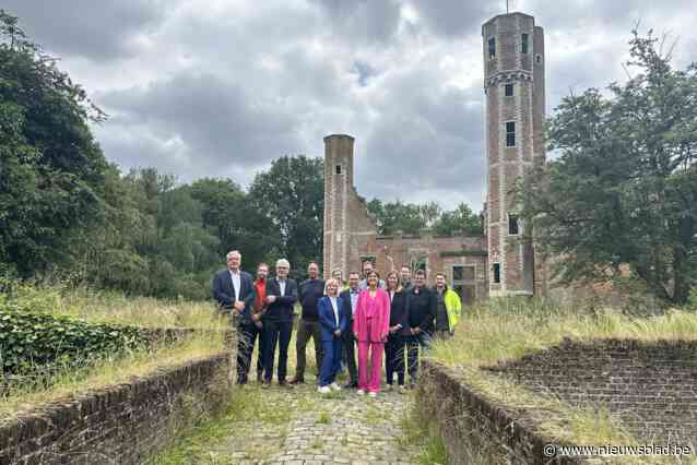 Kasteelruïne Ter Elst krijgt deze zomer langverwachte restauratie: “We willen deze iconische plek weer op de kaart zetten”