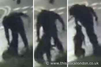 Met Police 'did nothing' over Dagenham dog abuse CCTV video