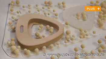 Zu protzig, zu teuer? Zustimmung für Landratsamts-Neubau schwindet