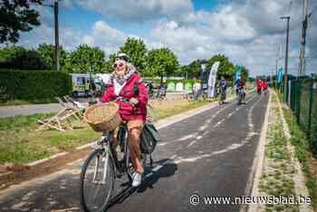 Opvallend minder verkeersongevallen dan 15 jaar geleden, maar daling stagneert wel: “Er blijft werk om veiligheid te verzekeren”