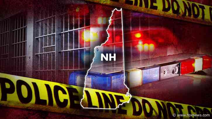 Armed man fatally shot by New Hampshire police outside home improvement store