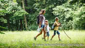 Gewinnspiel zu neuem Wanderweg im Harz: So macht man mit