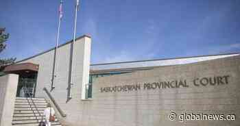 Prince Albert boy charged with bear spraying police officers