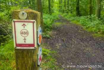 Veertig wegwijzers vernield langs wandelpaden in Bosland: “Er lijkt een patroon in te zitten”