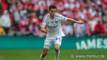 Für die Sechs: BVB hat offenbar Ex-Bremer auf dem Schirm