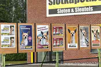 Kristof maakt op wel heel originele manier reclame voor zijn zaak: hij zette zijn hond Mokka op verkiezingsborden