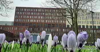 Jeroen Bosch Ziekenhuis zet AI in bij mensen die niet op een afspraak verschijnen