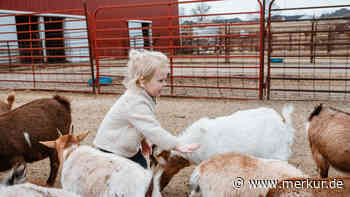 Zahlreiche Kinder nach Besuch im Streichelzoo mit Parasiten infiziert