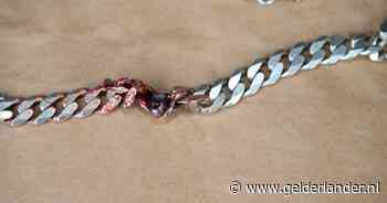 Amerikaan ontsnapt aan de dood: ketting voorkomt dat kogel nek raakt