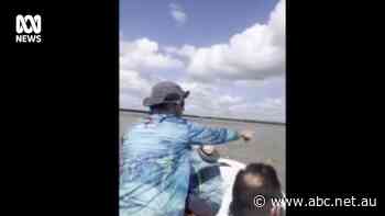 'Disgraceful': Outrage after footage emerges of fishing gill-nets allegedly used in banned waters