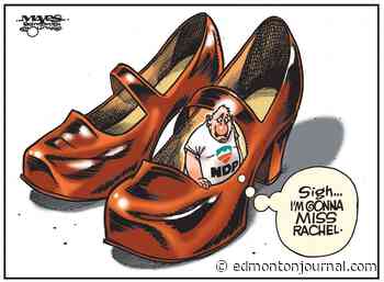 Malcolm Mayes editorial cartoons for June 2024