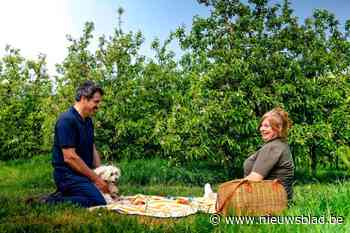 Boer Nico mocht 17 jaar geleden niet meedoen aan Boer zkt vrouw, maar vond toch de liefde