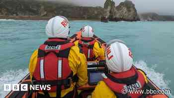 Paddleboarders and dogs saved after being blown offshore