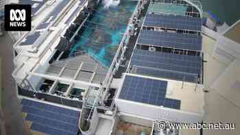 World's largest living coral reef exhibit closed indefinitely