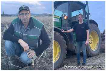 Deze boeren hebben geen tijd om te betogen: “Het is nu of niet, we gaan slapeloze nachten tegemoet”