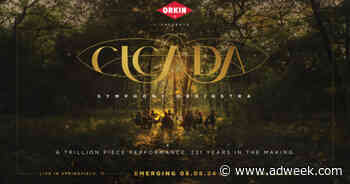 Cicada Serenade: In an Unlikely Collab, Orkin Embraces Bugs With an Original Symphony