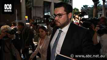 Bruce Lehrmann says he was denied procedural fairness in failed defamation case, court documents reveal