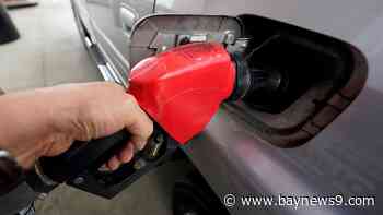 Florida's average gas price continues to drop