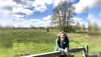 Journaliste schrijft verhaal voor ZOMERvakantieboek: taal als gereedschap voor feit én fictie