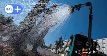 Klimawandel: Stadt Hannover  will Bewässerung von Straßenbäumen verbessern