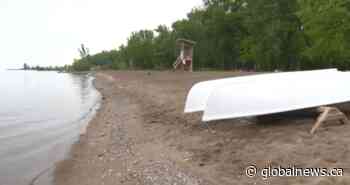 City investigating early-morning rave heard along Toronto waterfront