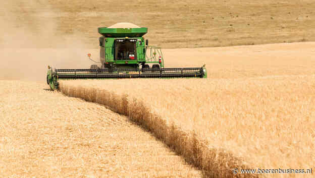 Start van oogst in de VS drukt wat op tarwemarkt