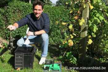 Parijs gelooft in Kempense slimme val tegen rattenprobleem: “Het gaat daar echt over leefbaarheid”