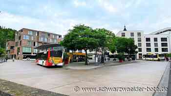 Volksverhetzung in Nagold?: Maiwagen-Skandal bei SternTV-Debatte